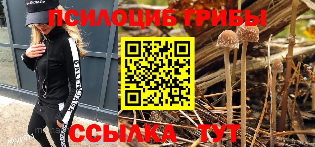 Галлюциногенные грибы прущие грибы Ипатово
