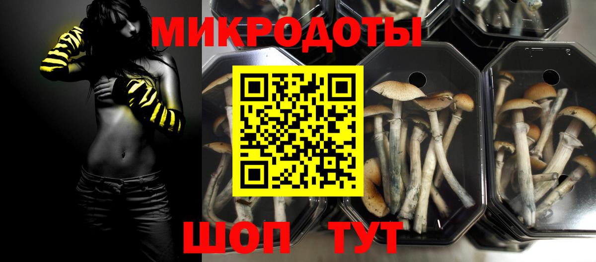 Галлюциногенные грибы GOLDEN TEACHER  Вход с VPN  Ипатово 